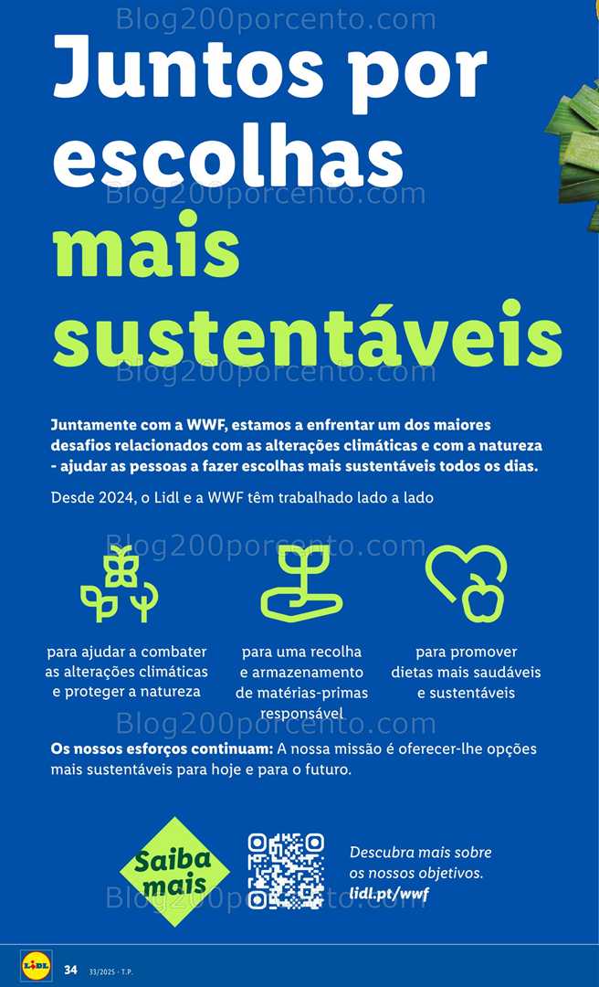 Antevisão Folheto LIDL Promoções de 11 a 17 agosto - Edição Digital all