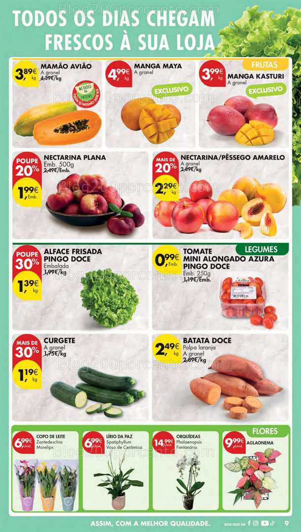 Antevisão Folheto PINGO DOCE Lojas Médias Promoções de 12 a 18 agosto
