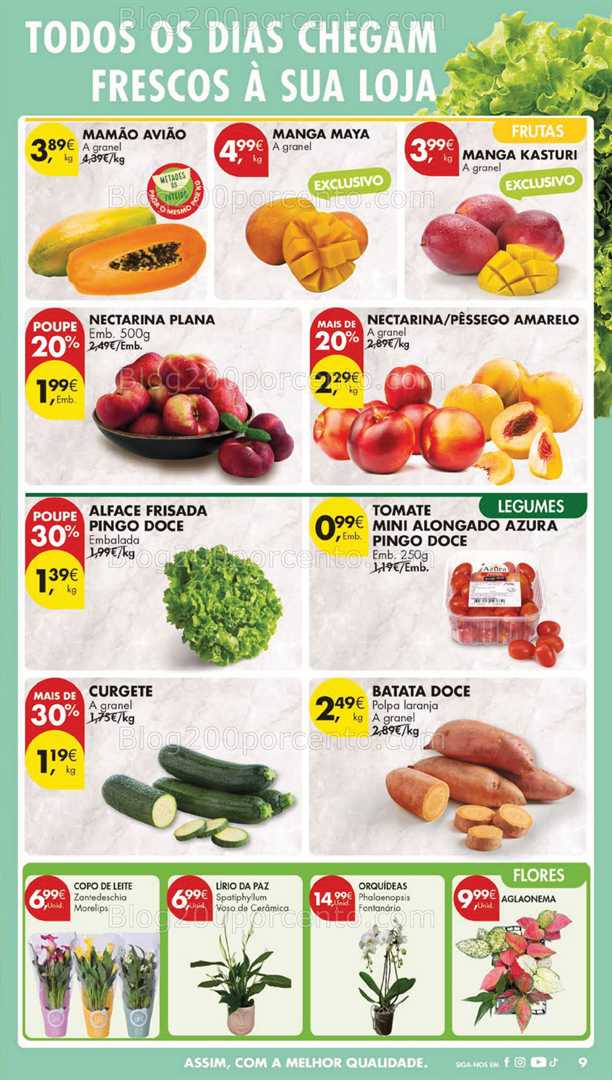 Antevisão Folheto PINGO DOCE Lojas Grandes Promoções de 12 a 18 agosto