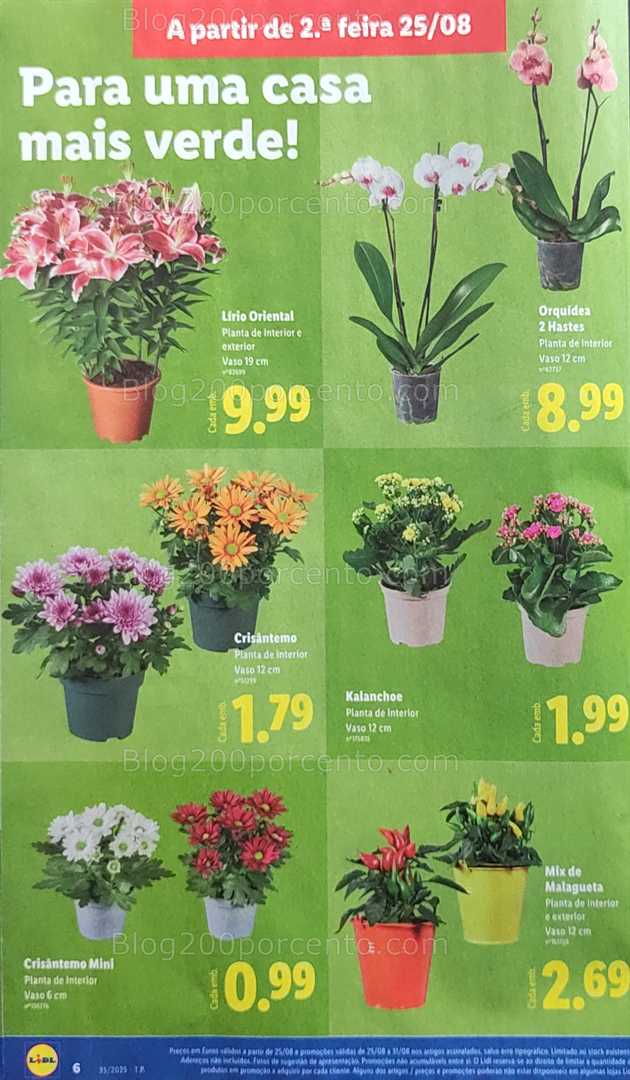 Antevisão Folheto LIDL Bazar Promoções de 25 agosto a 4 setembro