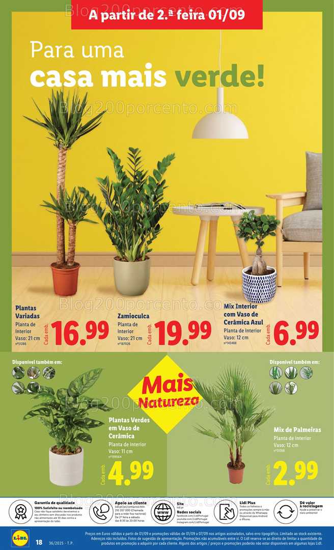 Antevisão Folheto LIDL Bazar Promoções de 1 a 11 setembro