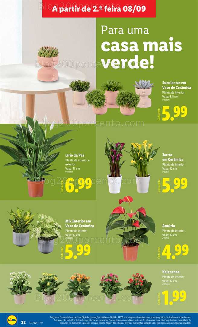 Antevisão Folheto LIDL Bazar Promoções de 8 a 18 setembro - Edição Digital