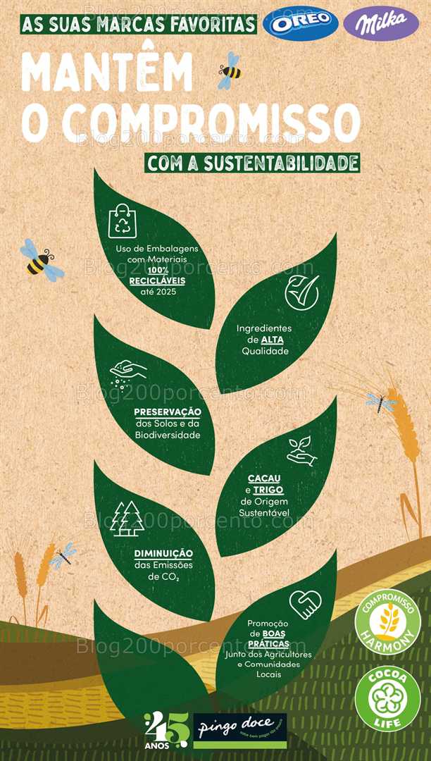 Antevisão Folheto PINGO DOCE Extra Promoções de 2 a 15 setembro