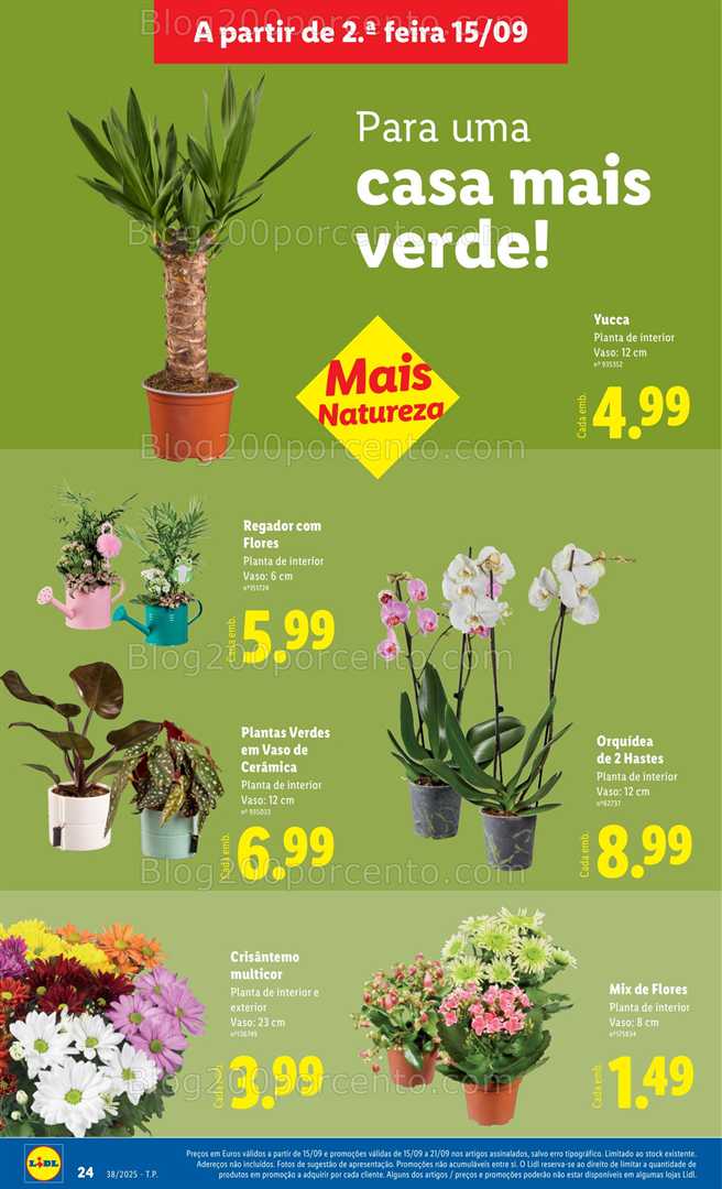 Antevisão Folheto LIDL Casa Promoções de 15 a 21 setembro