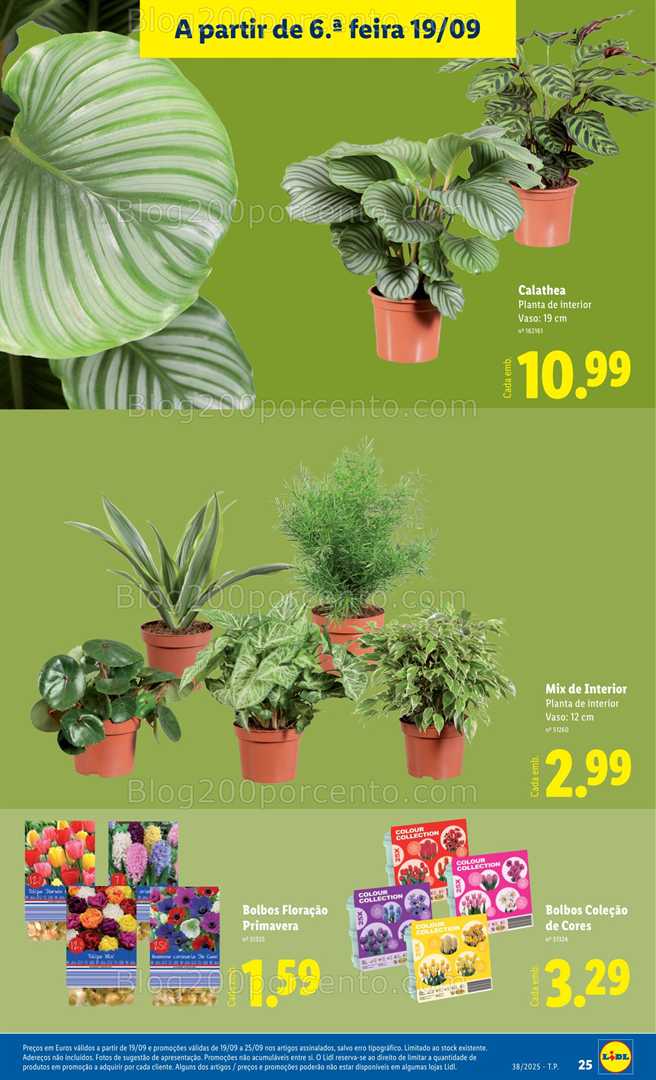 Antevisão Folheto LIDL Bazar Promoções de 15 a 25 setembro
