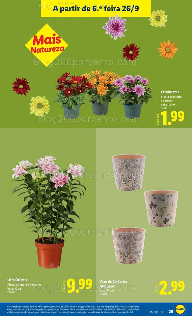 Antevisão Folheto LIDL Bazar Promoções de 26 setembro a 2 outubro - Edição Digital