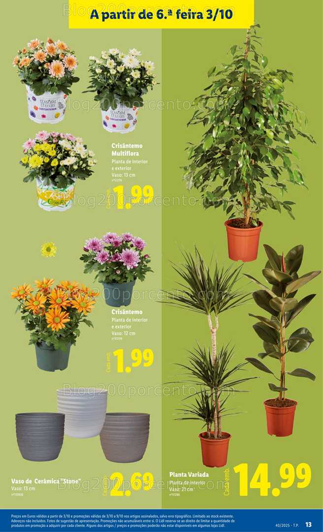 Antevis o Folheto LIDL Mercado De Plantas Promo es De 29 Setembro A 9 