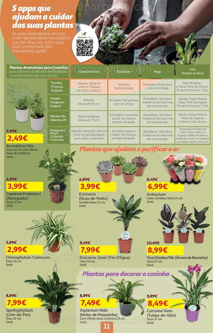 Antevisão Folheto AUCHAN Promoções de 18 setembro a 1 outubro