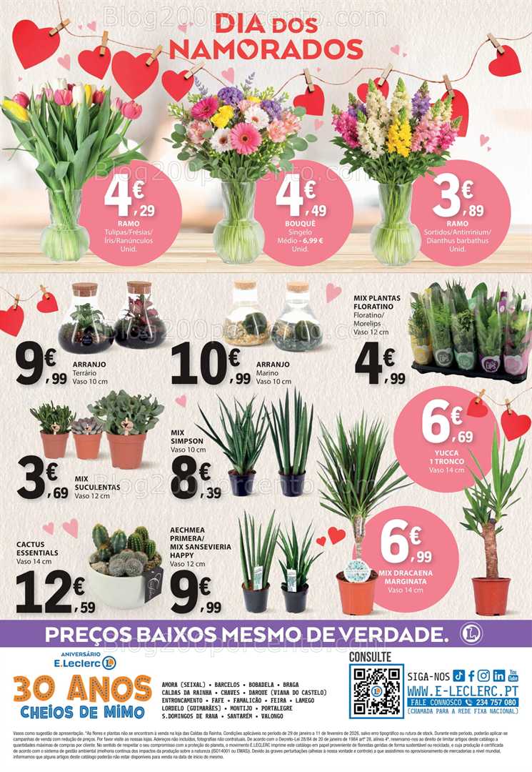 Antevisão Folheto E-LECLERC Bazar Promoções de 29 janeiro a 11 fevereiro