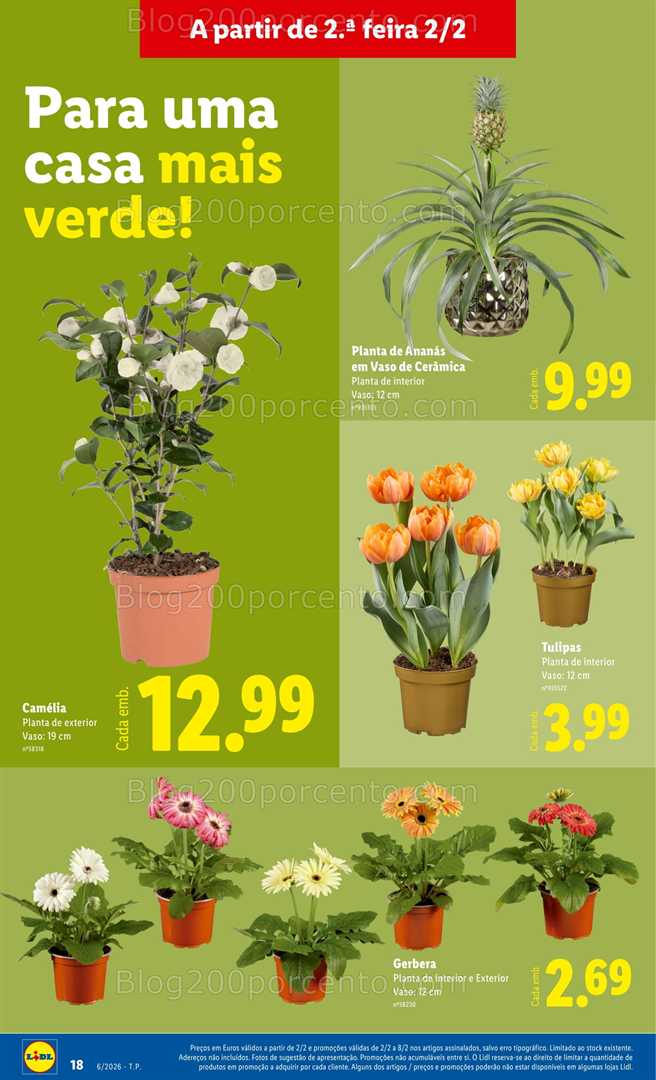 Antevisão Folheto LIDL Bazar Promoções de 2 a 12 janeiro - Edição Digital