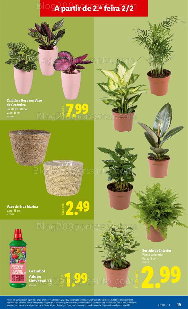 Antevisão Folheto LIDL Bazar Promoções de 2 a 12 janeiro - Edição Digital