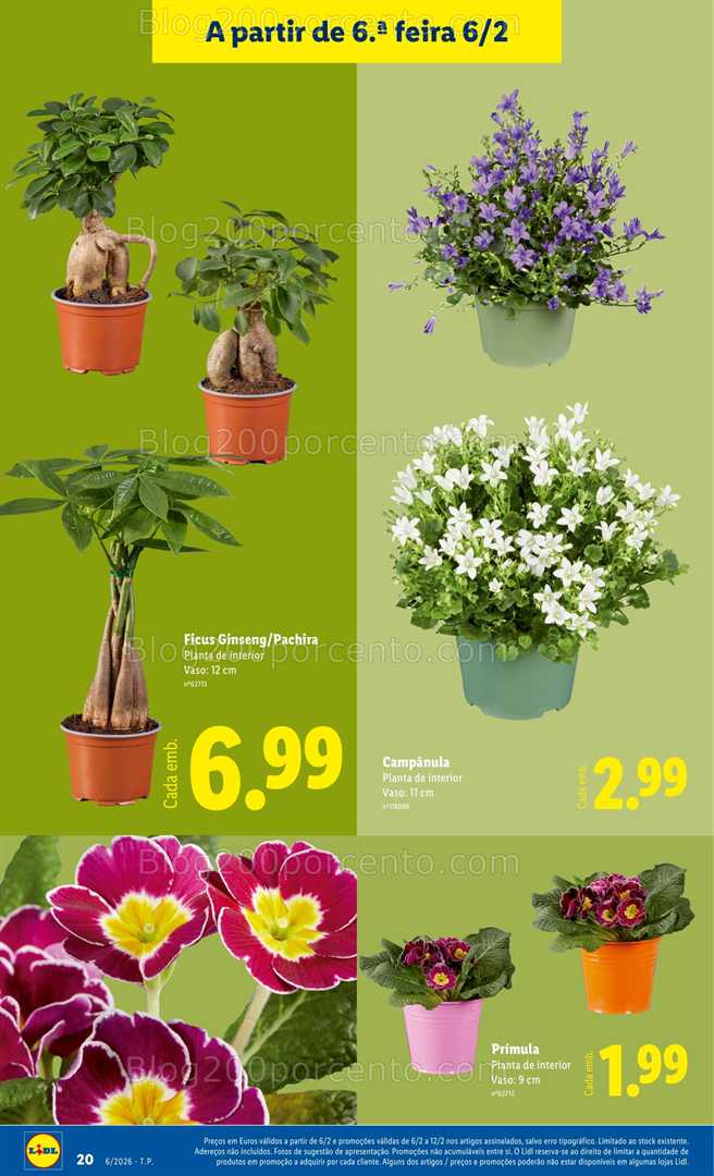 Antevisão Folheto LIDL Bazar Promoções de 2 a 12 janeiro - Edição Digital