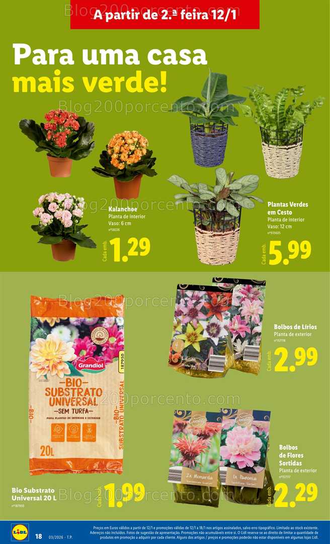 Antevisão Folheto LIDL Bazar Promoções de 16 a 22 janeiro