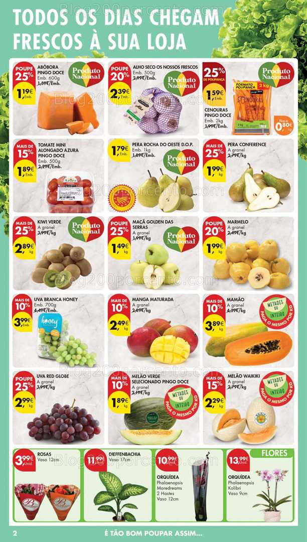 Antevisão Folheto PINGO DOCE Lojas Pequenas Promoções de 13 a 19 janeiro