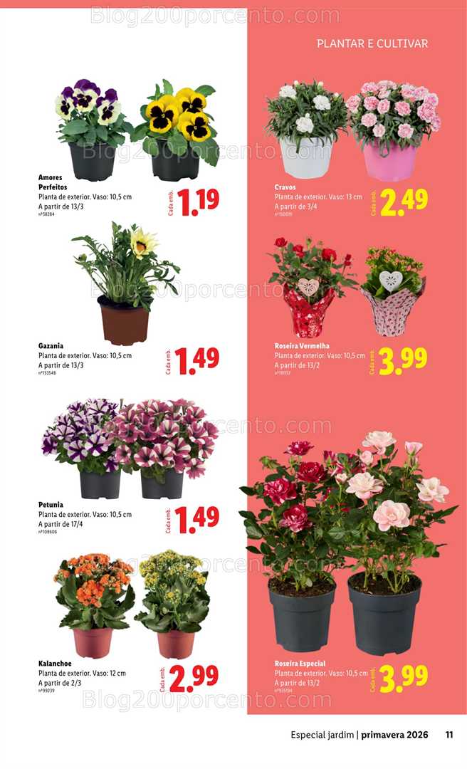 Antevisão Folheto LIDL Especial Jardim Promoções a partir de 13 fevereiro