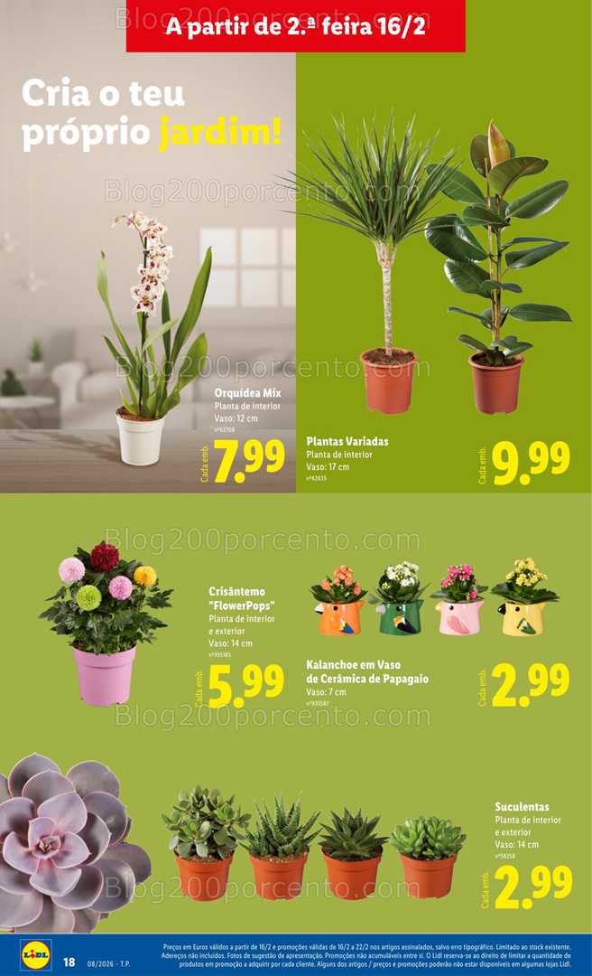 Antevisão Folheto LIDL Mercado de Plantas Promoções de 16 a 26 fevereiro