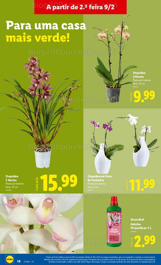 Antevisão Folheto LIDL Bazar Promoções 9 a 19 fevereiro - Edição Digital