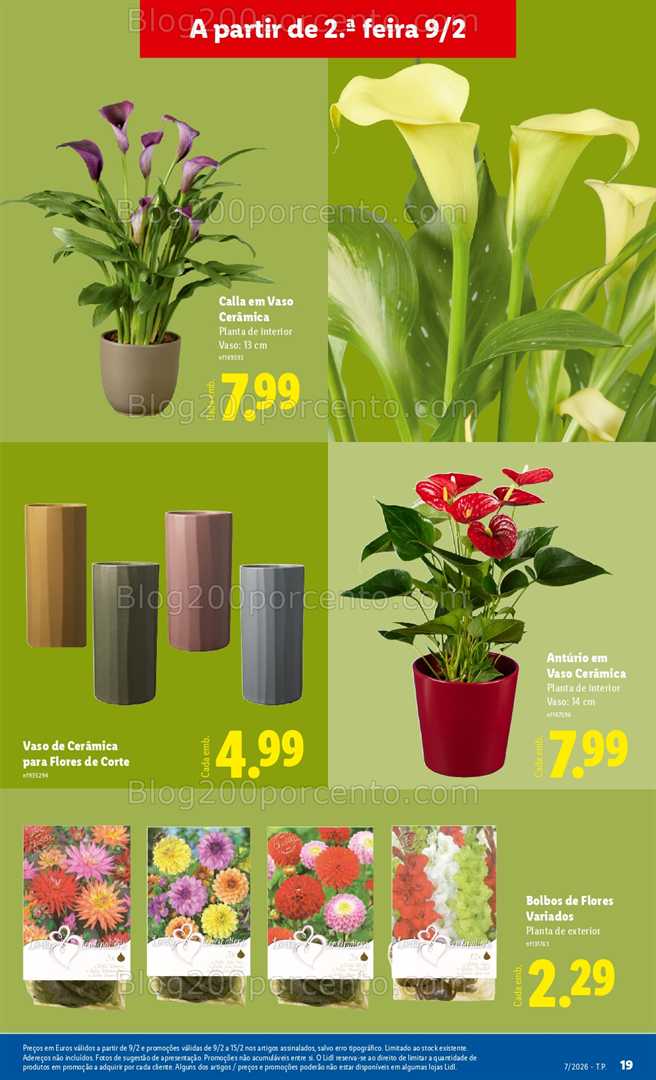 Antevisão Folheto LIDL Bazar Promoções 9 a 19 fevereiro - Edição Digital