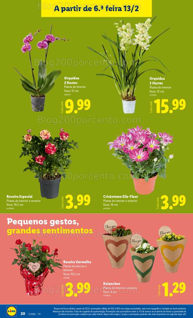 Antevisão Folheto LIDL Bazar Promoções 9 a 19 fevereiro - Edição Digital