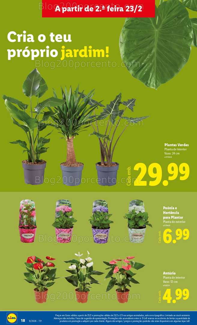 Antevis o Folheto LIDL Mercado De Plantas Promo es De 23 Fevereiro A 5 