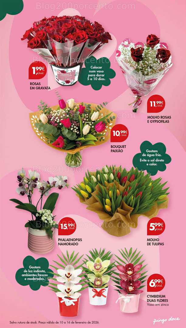 Antevisão Folheto PINGO DOCE Lojas Pequenas Promoções 10 a 16 fevereiro