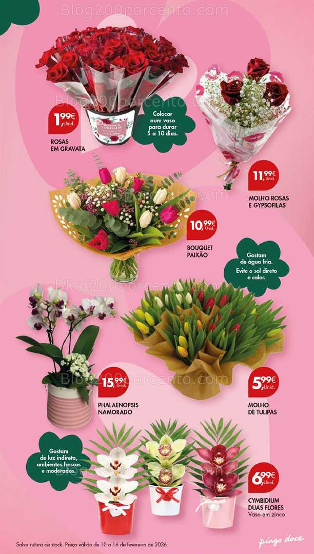 Antevisão Folheto PINGO DOCE Lojas Grandes Promoções 10 a 16 fevereiro