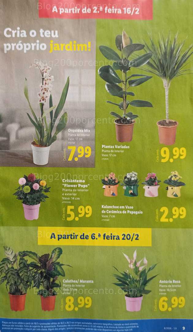 Antevisão Folheto LIDL Bazar Promoções de 16 a 26 fevereiro