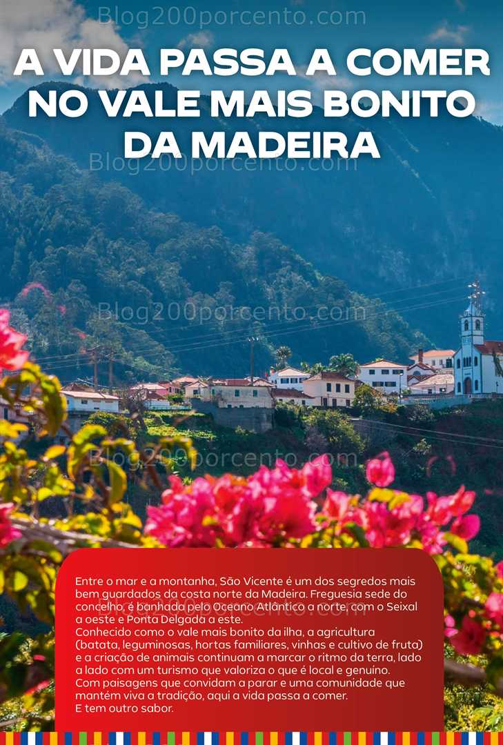 Antevisão Folheto CONTINENTE Aberturas Promoções até 11 agosto all