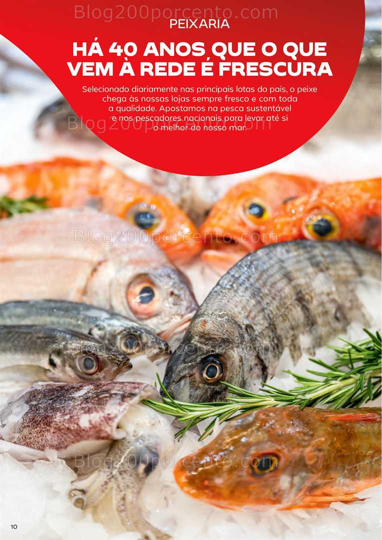 Antevisão Folheto CONTINENTE Aberturas Canas de Senhorim Promoções até 11 agosto all