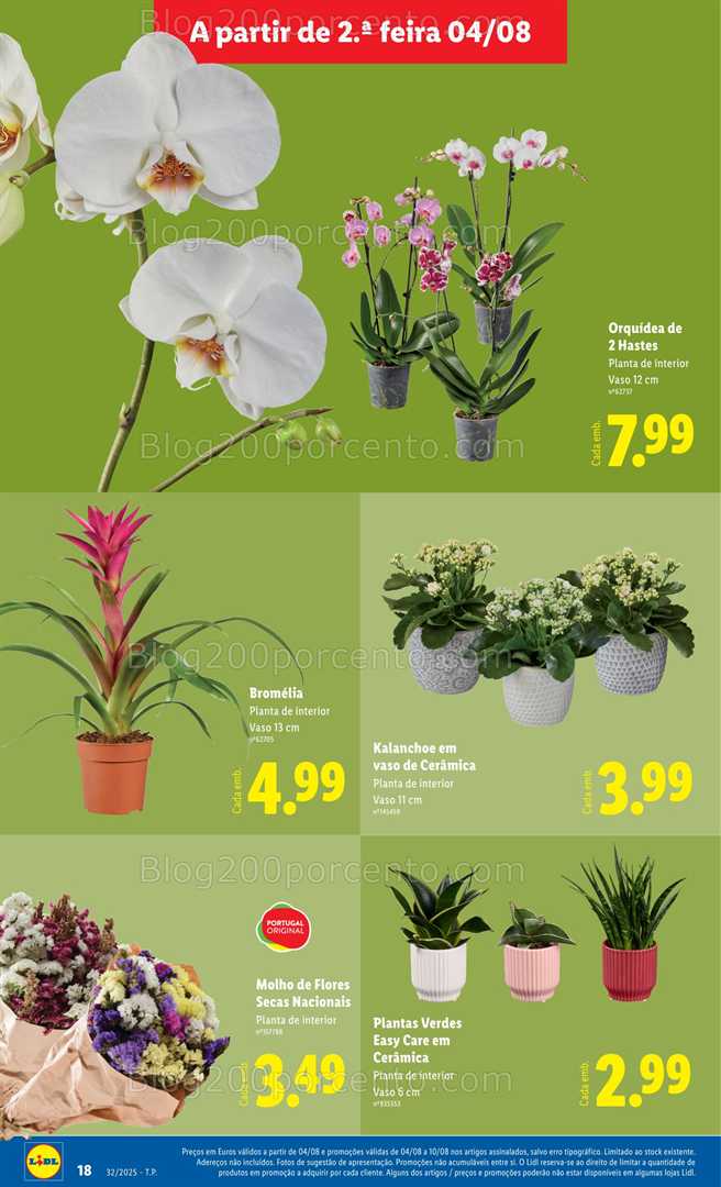 Antevisão Folheto LIDL Bazar Promoções de 4 a 14 agosto mercado de plantas