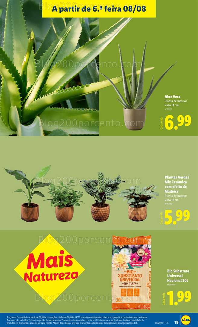Antevisão Folheto LIDL Bazar Promoções de 4 a 14 agosto mercado de plantas